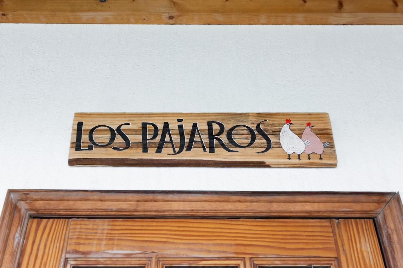 Los Pajaros Santa Cruz de Tenerife Exteriör bild